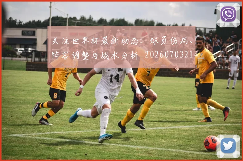 关注世界杯最新动态：球员伤病、阵容调整与战术分析_20260703214959