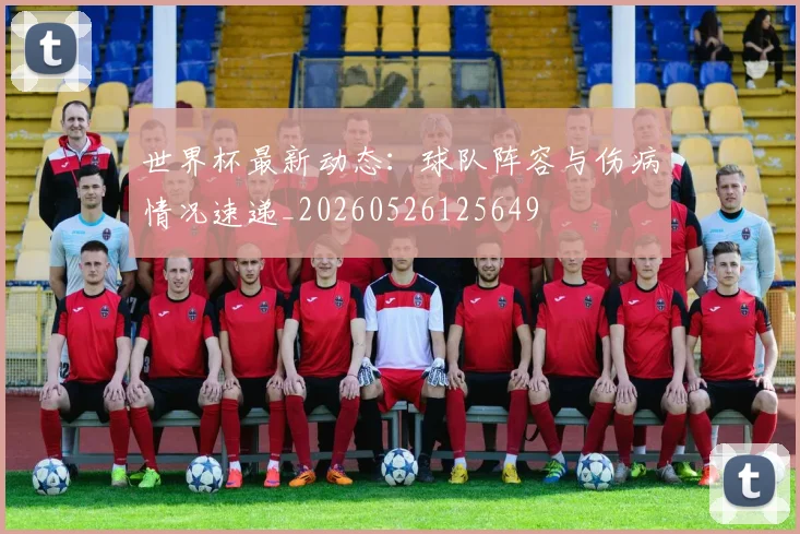 世界杯最新动态:球队阵容与伤病情况速递_20260526125649