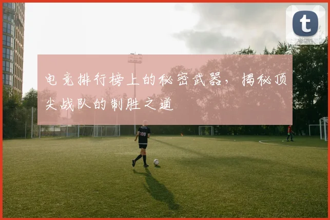 电竞排行榜上的秘密武器，揭秘顶尖战队的制胜之道